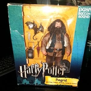Harry Potter's  "HAGRID"